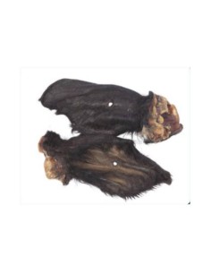 Oreja de Vacuno con Pelo XL