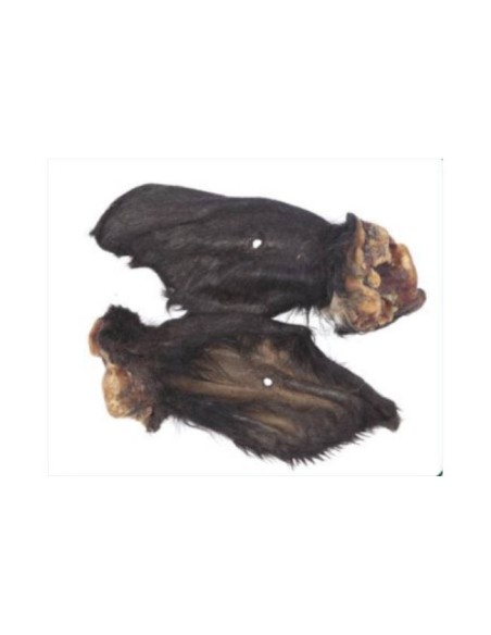 Oreja de Vacuno con Pelo XL