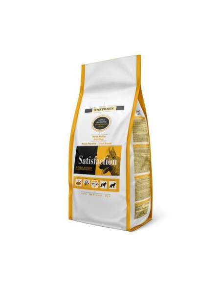 Pienso seco REGULAR MINI