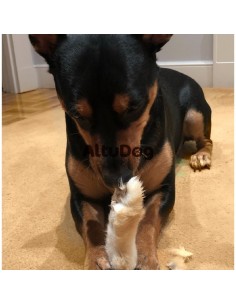 Pata de conejo con pelo 2